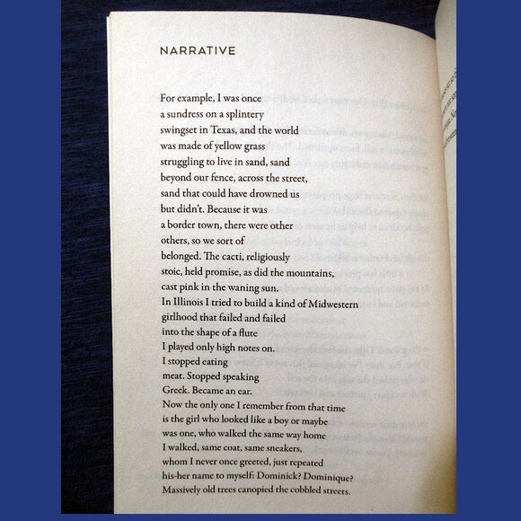 Book - Anybody: Poems, by Ari Banias - Picture 4 of 10